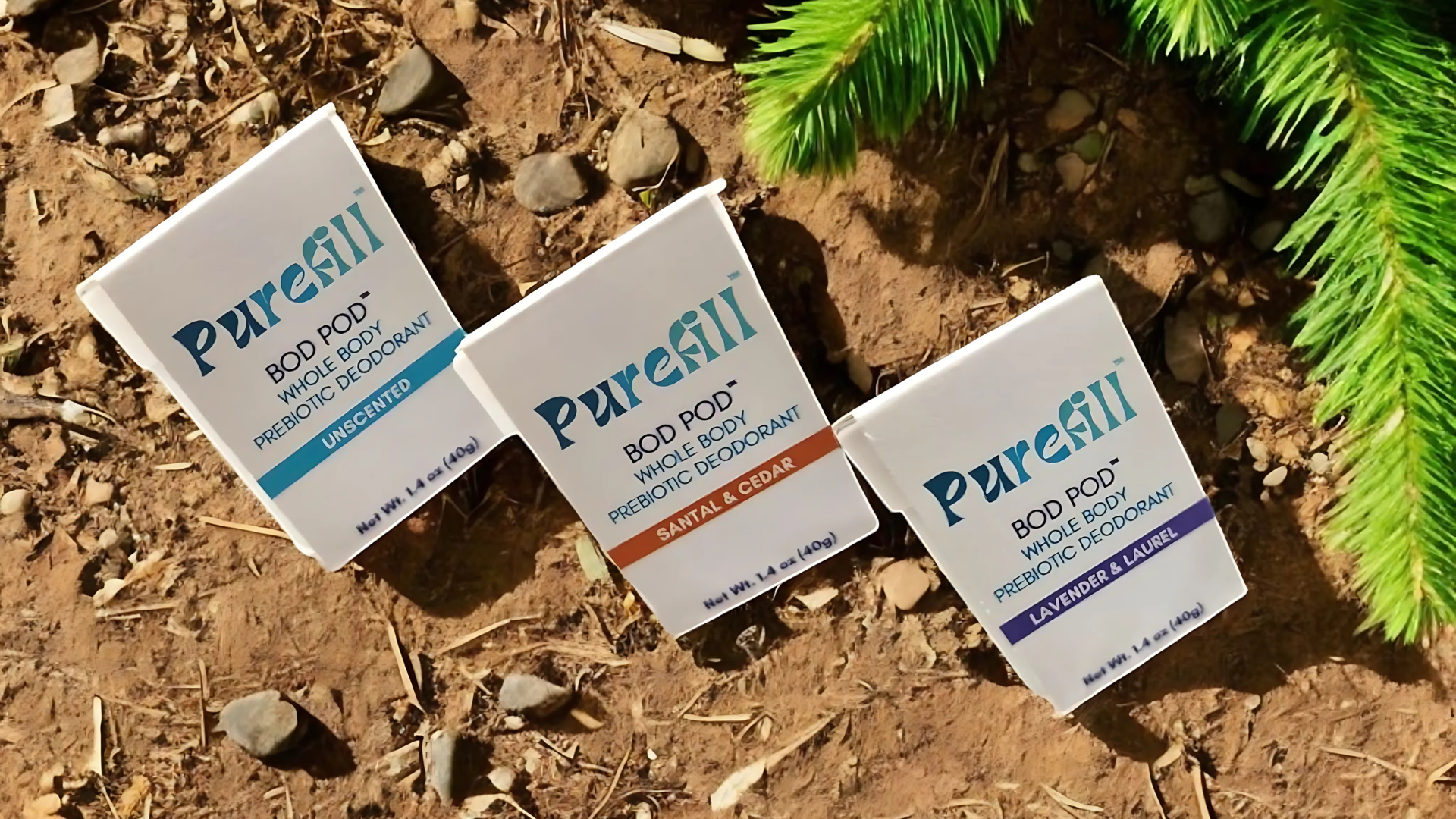 Why Refill, Not Landfill: Small Steps for Big Change