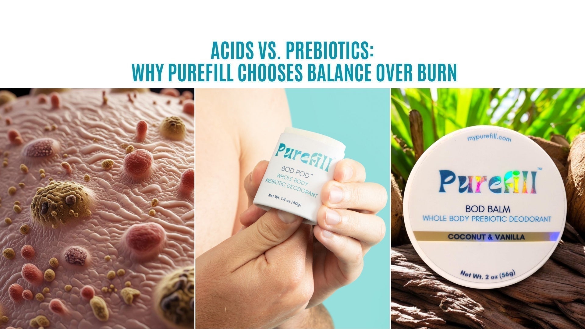 Acids Vs. Prebiotics: Why Purefill Chooses Balance Over Burn