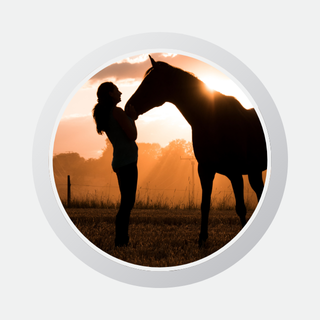 Profile picture of lady with horse at sunset